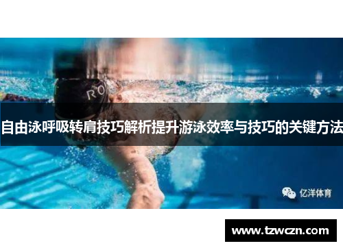 自由泳呼吸转肩技巧解析提升游泳效率与技巧的关键方法