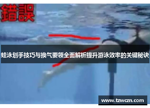 蛙泳划手技巧与换气要领全面解析提升游泳效率的关键秘诀