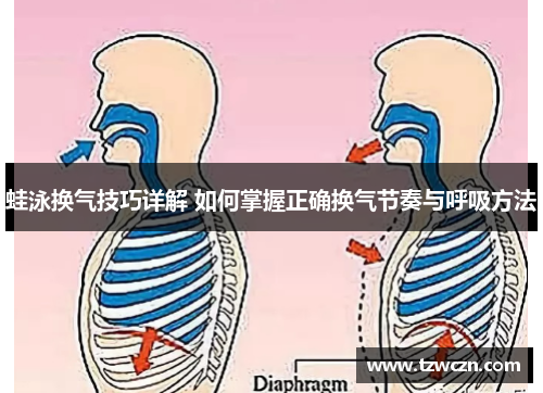蛙泳换气技巧详解 如何掌握正确换气节奏与呼吸方法