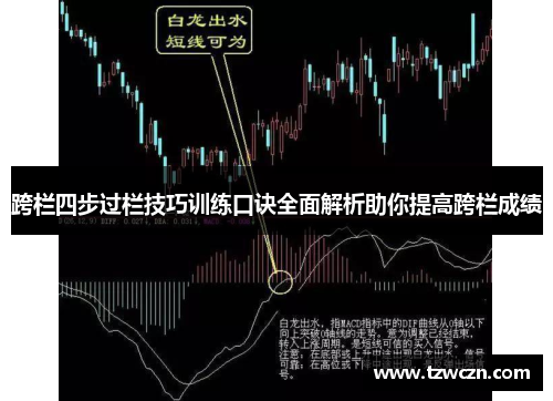 跨栏四步过栏技巧训练口诀全面解析助你提高跨栏成绩